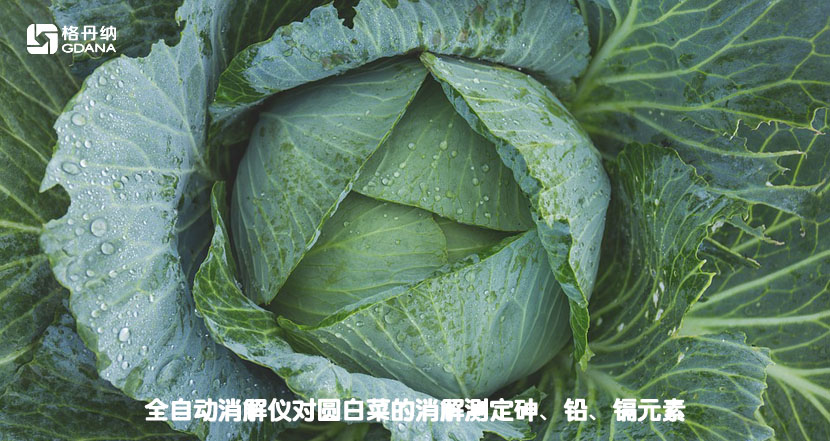 全自動消解儀對圓白菜的消解測定砷、鉛、鎘元素